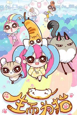 迪庆seo优化厂家